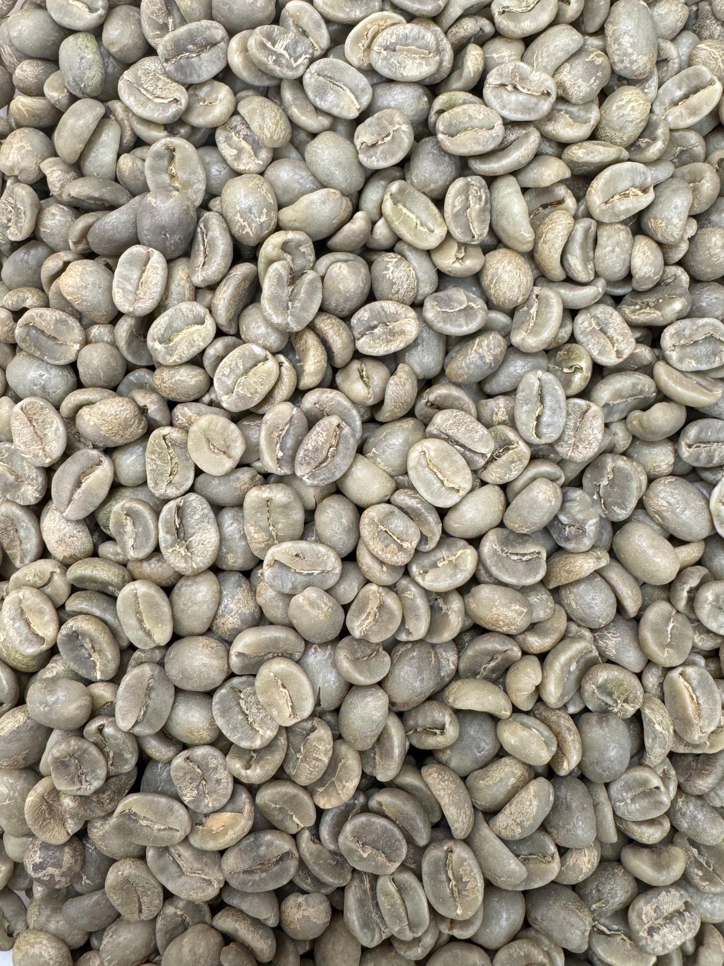 Café Verde / Café Oro Kg